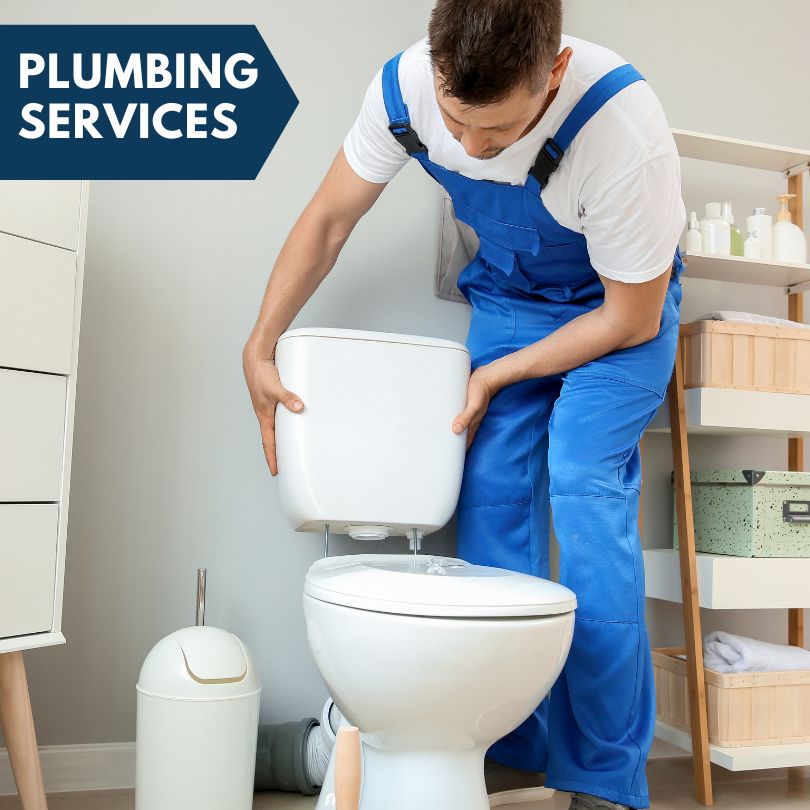 Plumbing Company in Covert, MI